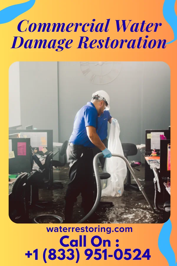 Commercial Water Damage Restoration in Myrtle Grove, NC